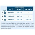 Bomba Presurizadora Sumergible 0.75 HP 115V Grundfos SBA 3-35 A - Imagen 5