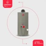 Calentador de Depósito 38 Litros (10 Galones) 1 Servicio Gas LP Rheem 29V10S/572185 - Imagen 2