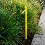 Eco-Indicador 15cm Hunter ECO-ID - Imagen 2