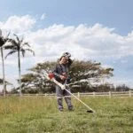 Desbrozadora a Gasolina 2.3 HP Vástago Recto y Manillar Abierto Stihl FS 351 - Imagen 2