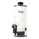 Calentador de Depósito 60 Litros Gas LP 1.5 Servicios Primo 268708