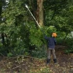 Podadora de Altura a Batería 36V Espada de 30 cm Stihl HTA 86 - Imagen 7