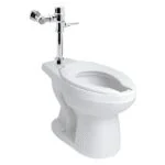 Paquete Institucional Taza NAO + Fluxómetro de Manija 110-38-3.5 + Asiento AF-1 Helvex NAO 1-3.5