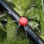 Micro Spray Ajustable Rojo 6mm 0-70 l/h Bolsa de 100 Piezas Wade Rain AJS - Imagen 2