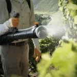 Fumigadora a Gasolina de Mochila 3.9 HP 63.3CC Stihl SR 430 - Imagen 7