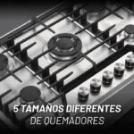 Parrilla Acero Inoxidable de 5 Quemadores Empotrable 76cm Nuur PARGA5AI - Imagen 6