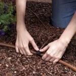 Kit de Riego para Cama de Flores y Suelos Raindrip SDGCBHP - Imagen 2