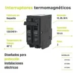 Interruptor Termomagnético 2 Polos 20A Argos AIT220A - Imagen 3