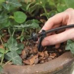 Kit de Riego Macetas y Contenedores Raindrip R560DP - Imagen 3