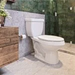 WC Elongado de Trampa Expuesta 4.8 LPD Taza y Tanque Blanco Helvex WC DRAKAR16 - Imagen 2