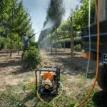 Fumigadora a Gasolina 2 Tiempos 2 HP 40.2 cm³ Stihl SG 230 - Imagen 2