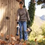 Sopladora de Batería 10.8V 5 Newtons Stihl BGA 30 - Imagen 6