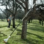 Podadora de Altura a Gasolina 27.2CC 1.1 HP Espada de 10" Stihl HT 56 C-E - Imagen 7